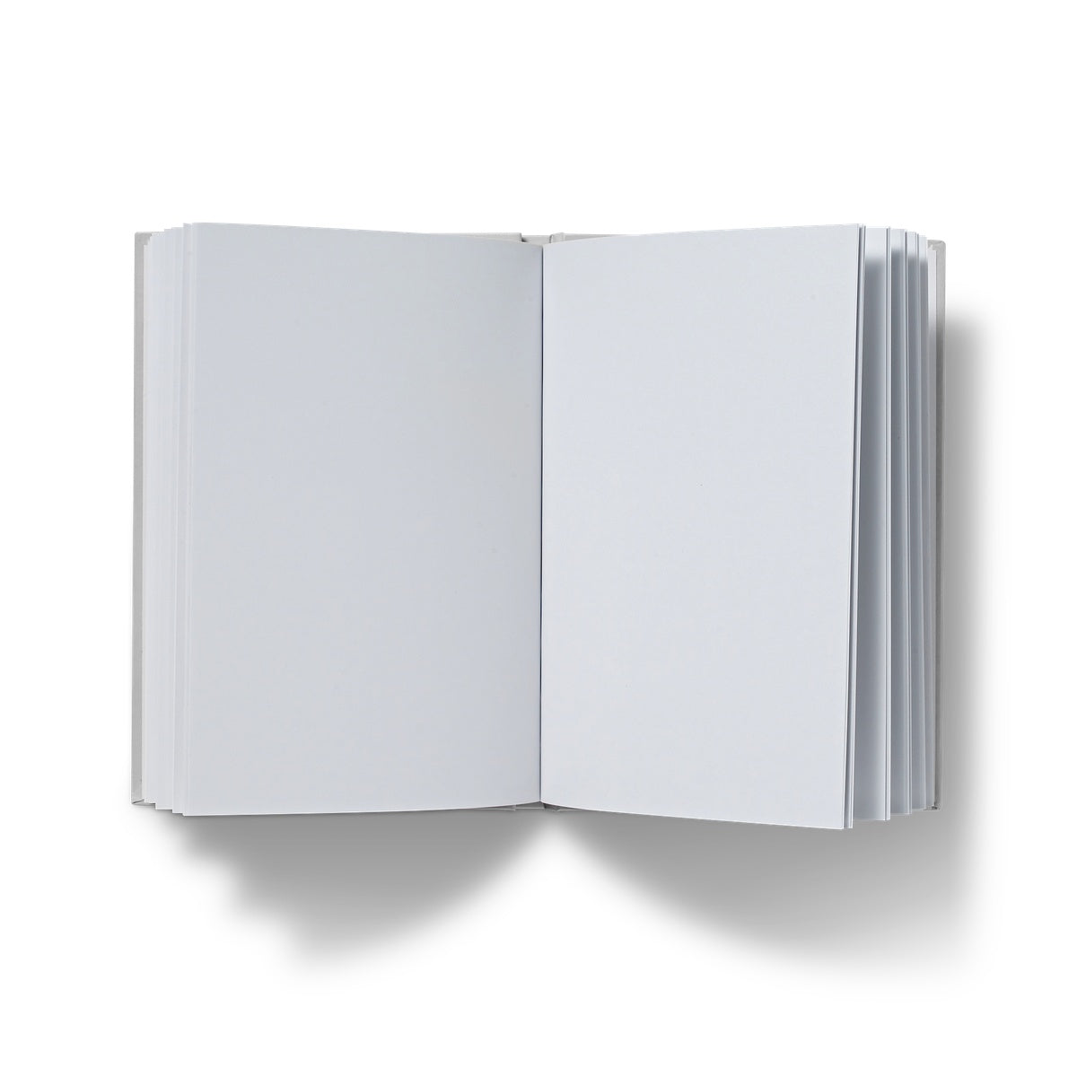 Turn the Frogs Gay Journal Hardback Journal
