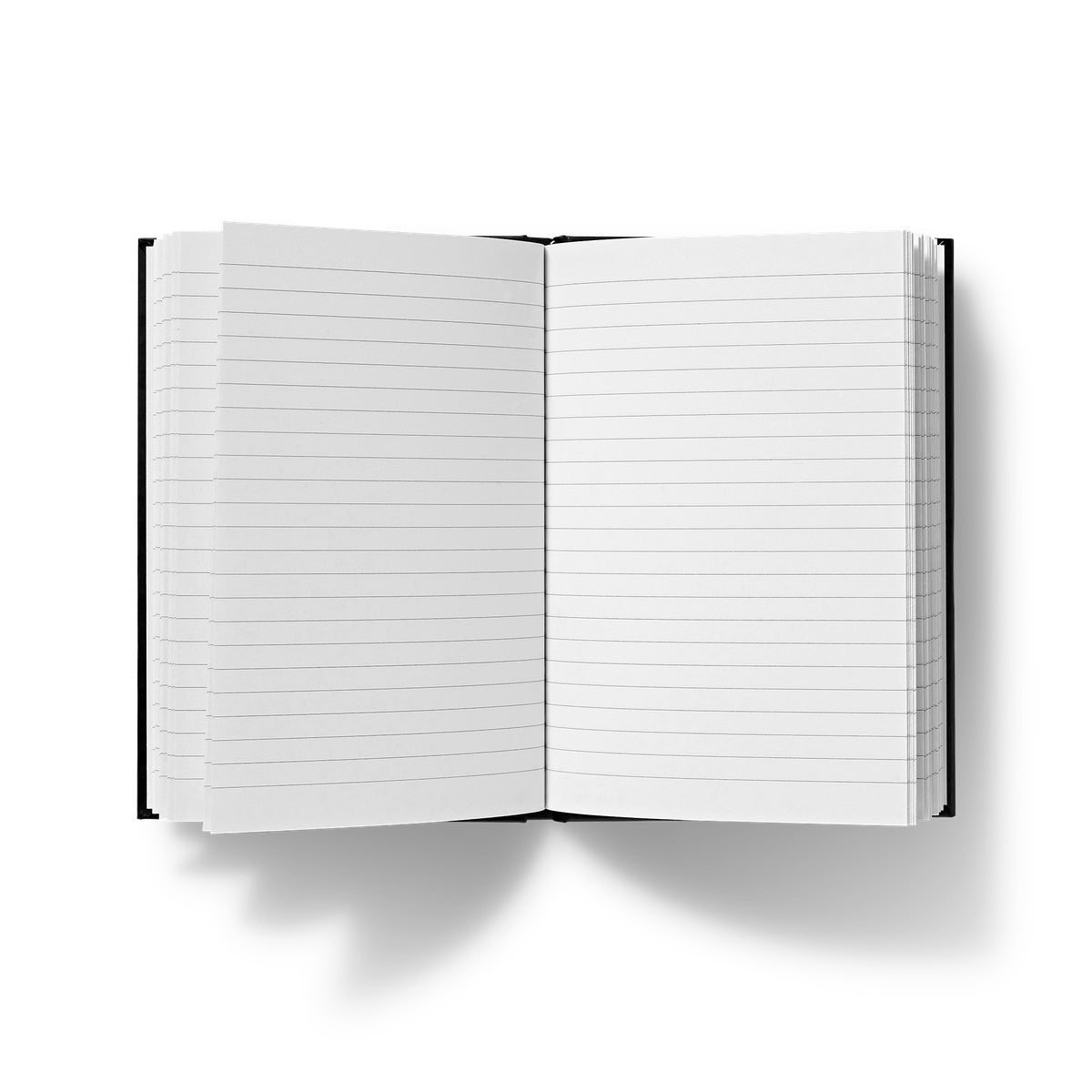 Turn the Frogs Gay Journal Hardback Journal